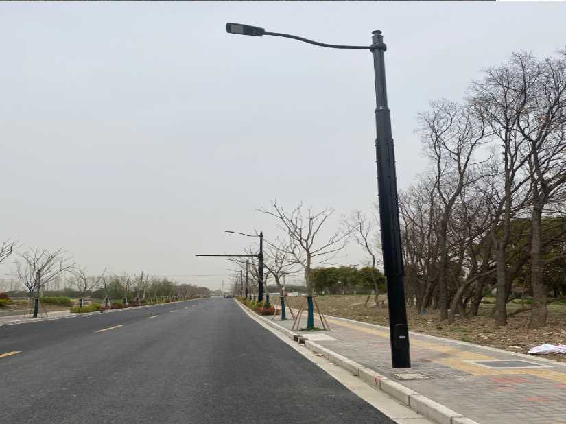 稻城县上海综合杆 太阳能路灯工程